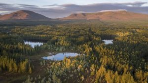 Wild Nephin National Park