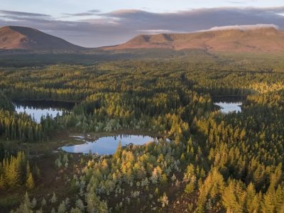 Wild Nephin National Park
