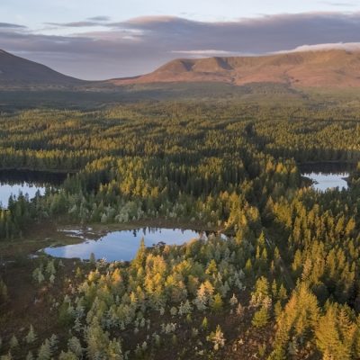 Wild Nephin National Park