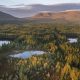 Wild Nephin National Park