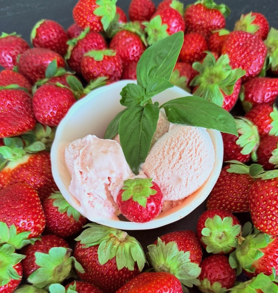Strawberry Basil Ice cream in a bowl