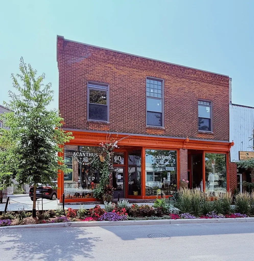 Acanthus Florist shopfront in Almonte, Ontario