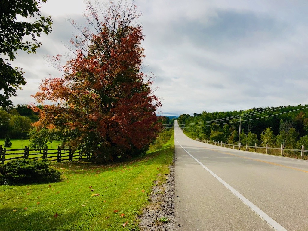 Scenic country road in Ontario lined with colourful autumn trees, inviting fall exploration.