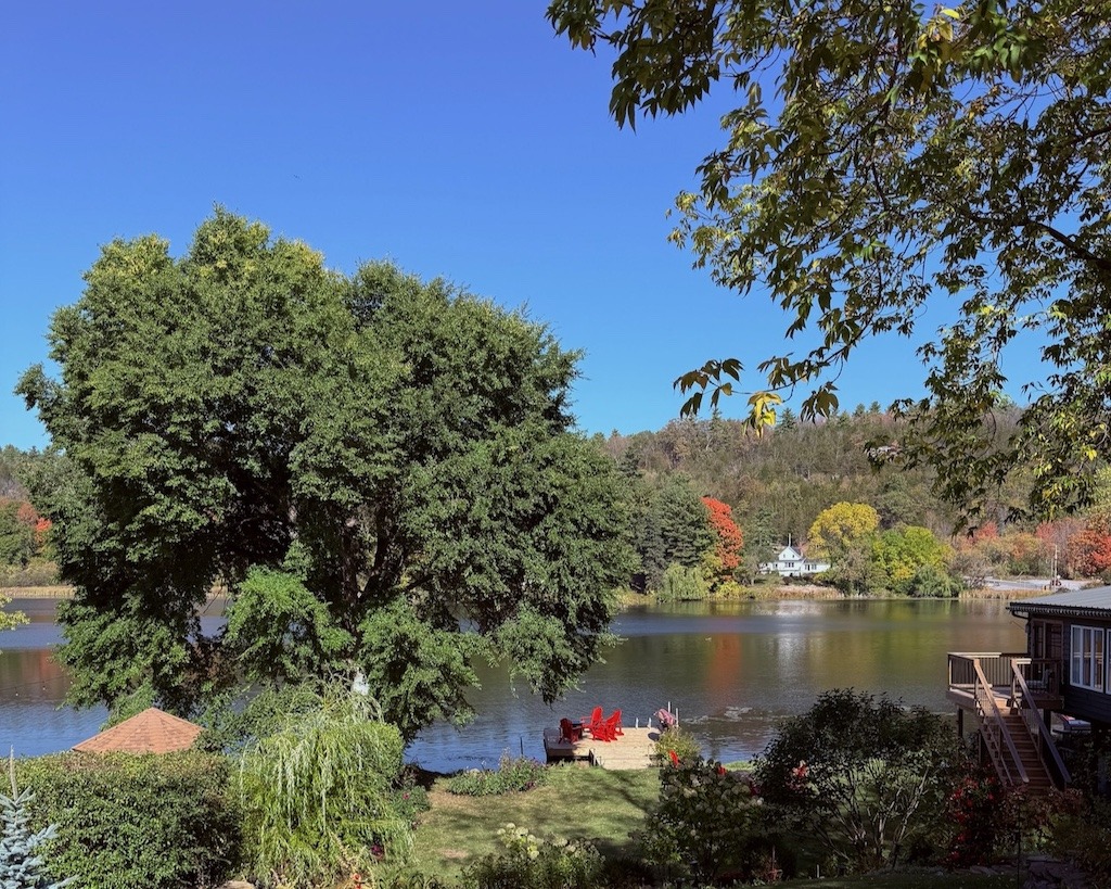 View from The Cove Inn patio.