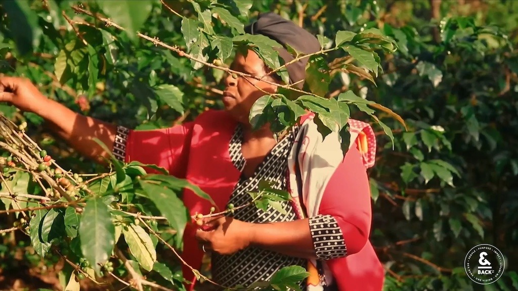 Andback Coffee bag of beans on a table