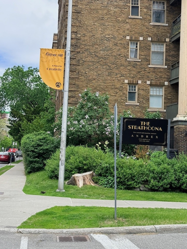 The Other Hill initiative banner on Laurier Avenue East in Sandy Hill Ottawa