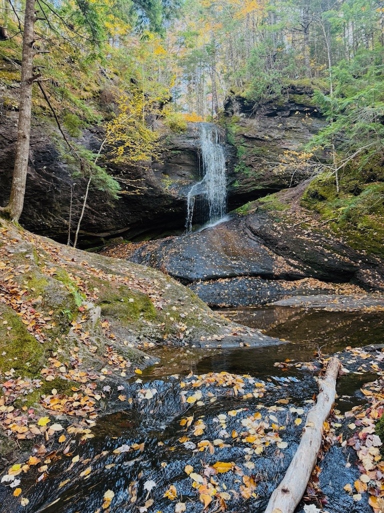 A narrow waterfall dropping over dark rock into a leaf covered pool while chasing waterfalls in Cape Breton
